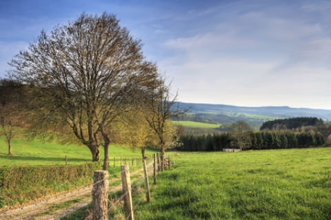 Ardennen